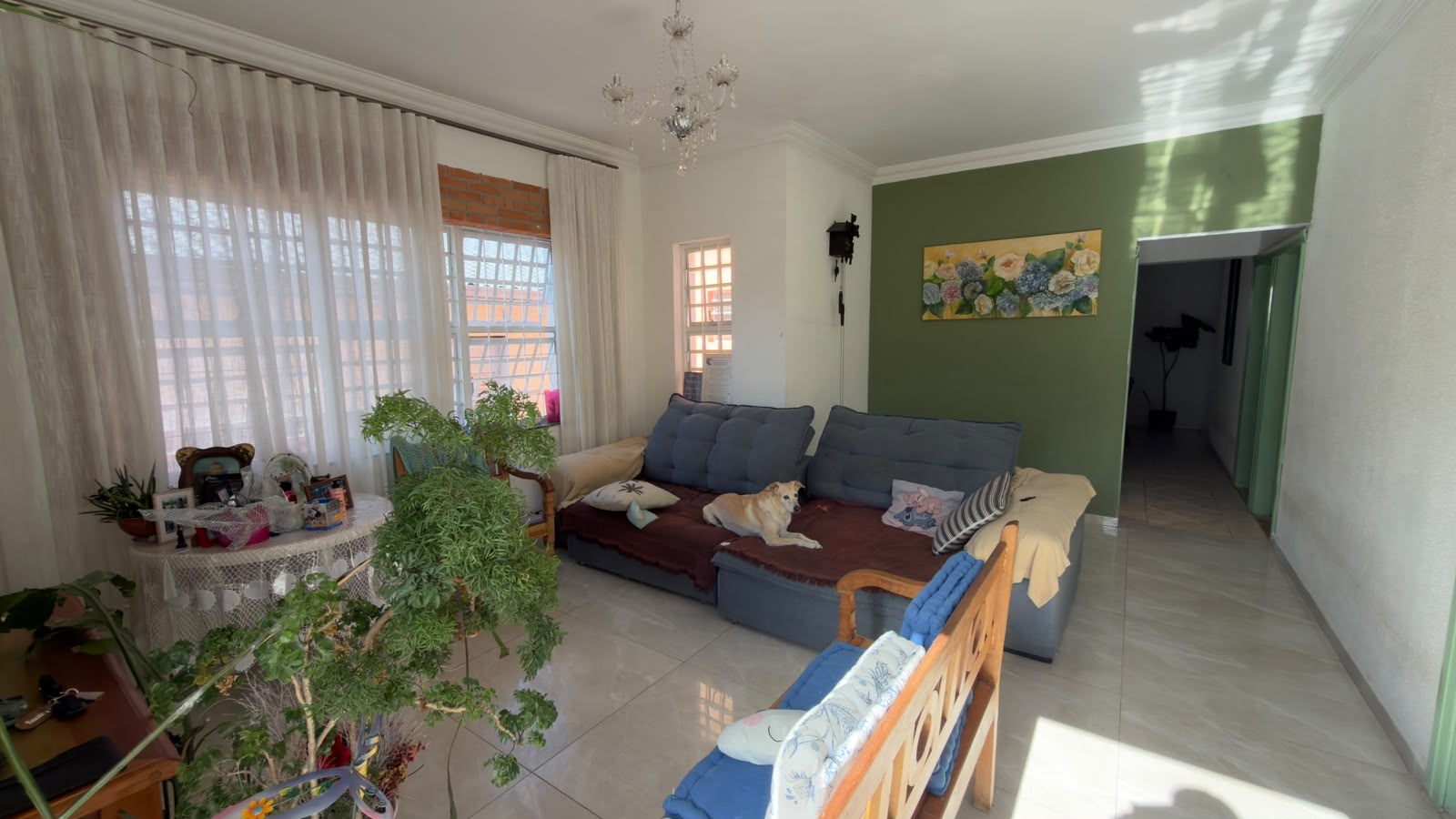 Foto 5